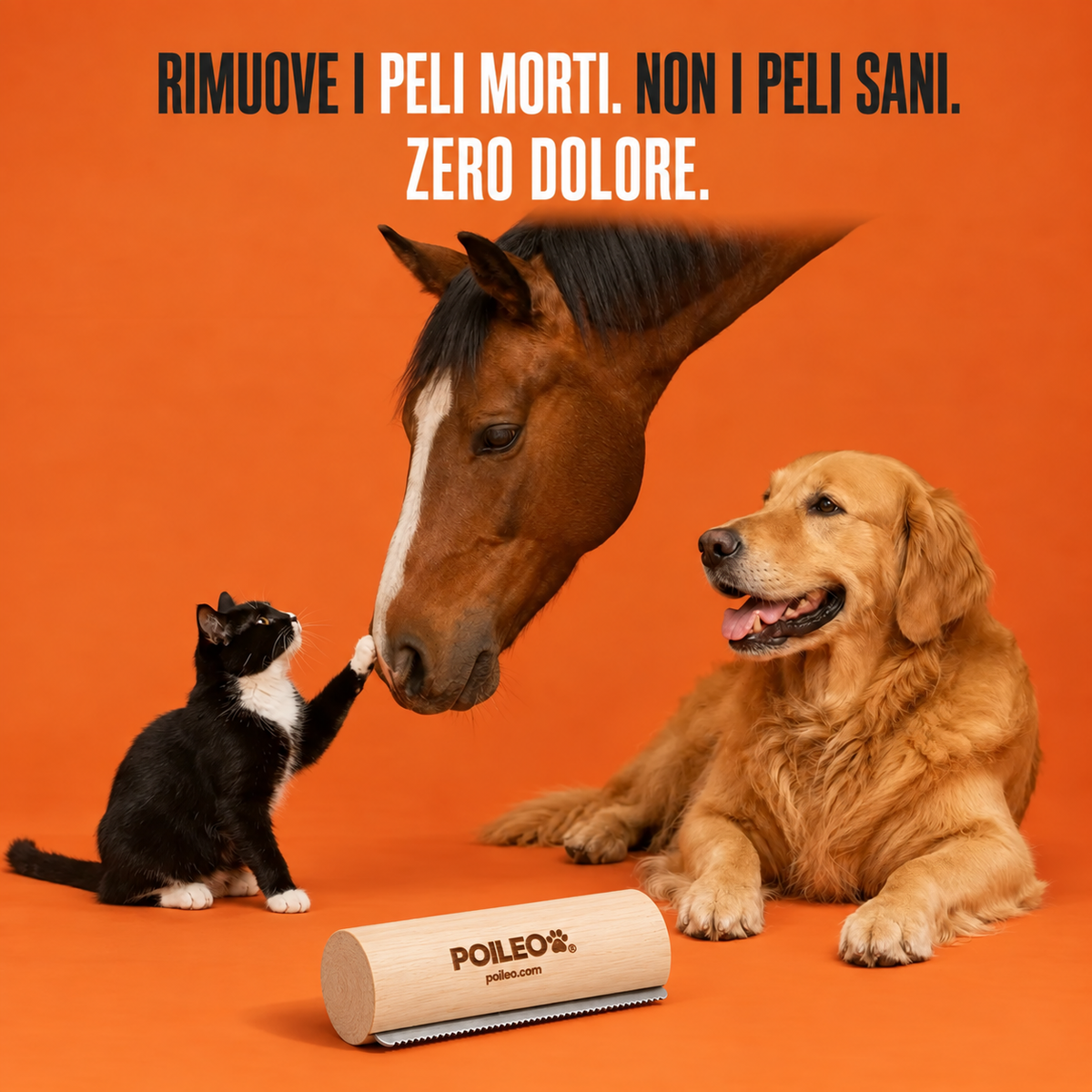 Spazzola Poileo – Rimuove Pelo Morto e Sottopelo