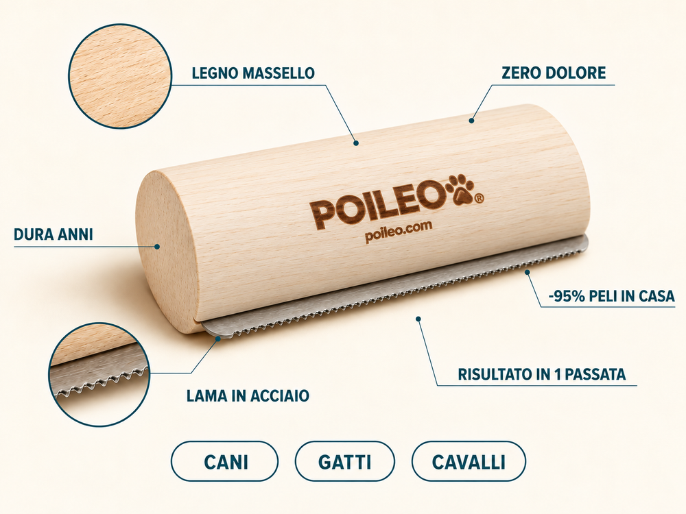 Qualità che si vede e si sente