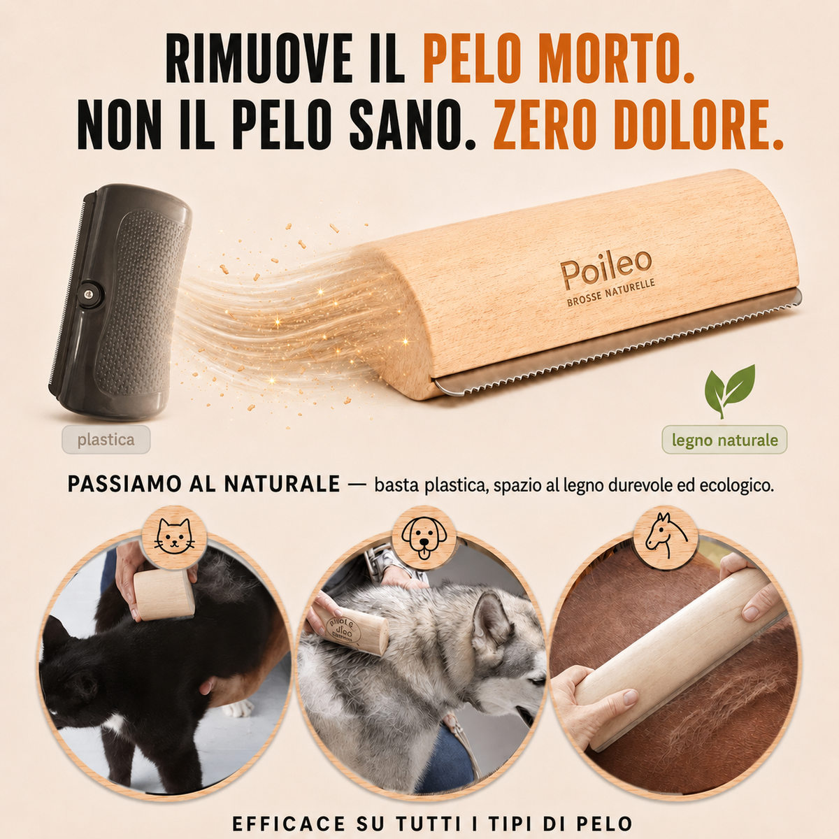 Spazzola Poileo2.0