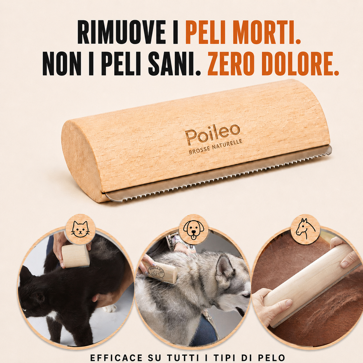 Spazzola Poileo Gatto
