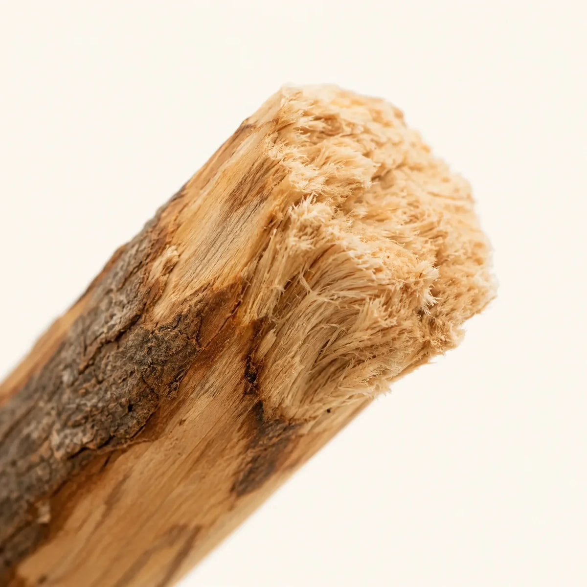 Bastoncino da Masticare Poileo™ – Legno d'ulivo naturale
