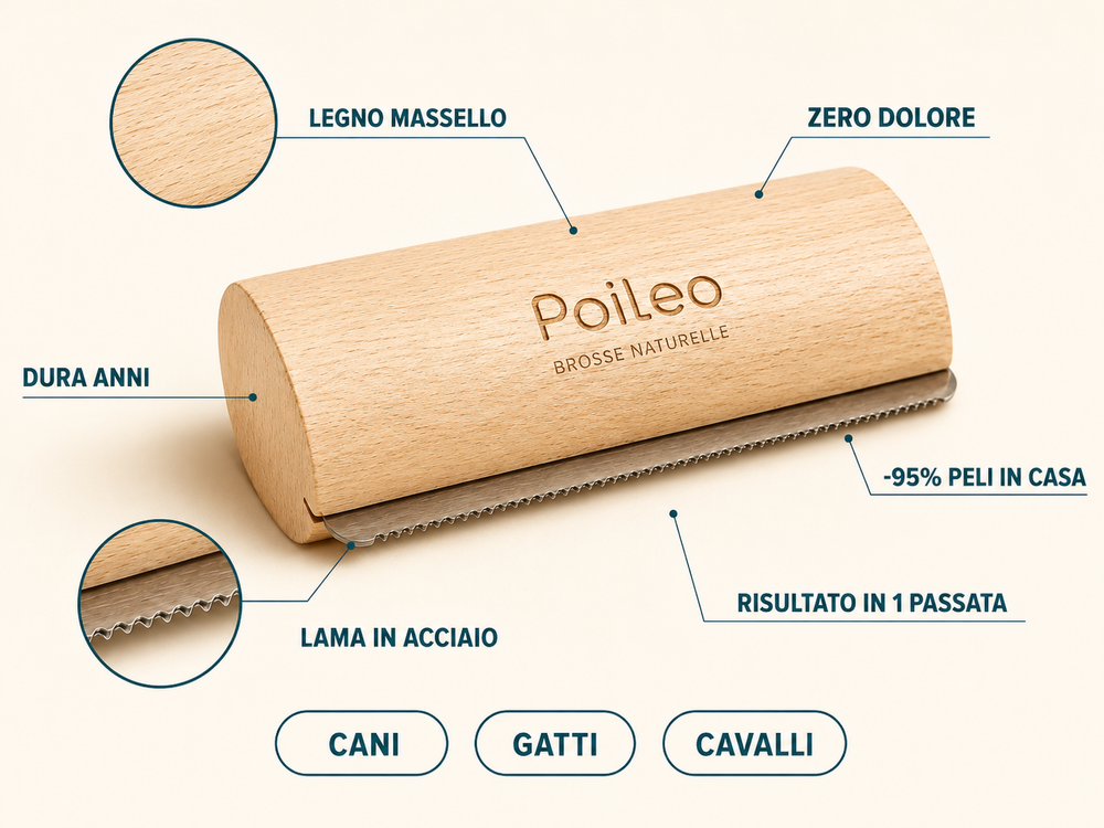Qualità che si vede e si sente