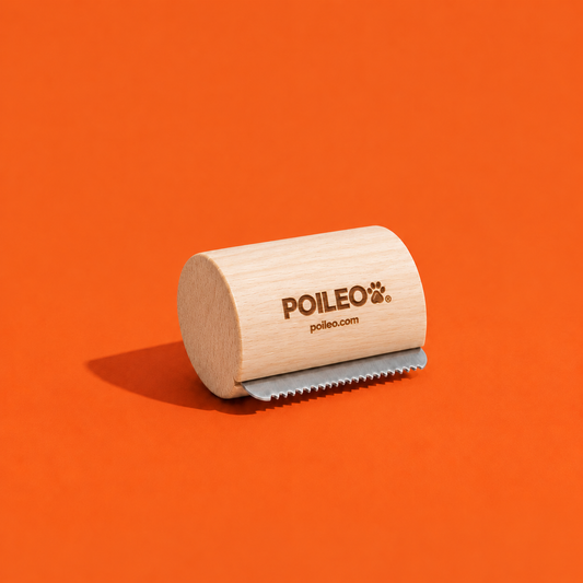Spazzola Poileo – Rimuove Pelo Morto e Sottopelo