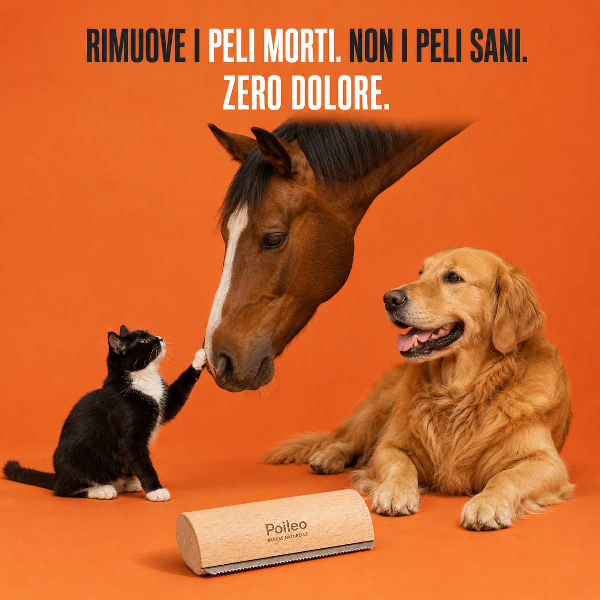 Spazzola Poileo · Taglia S