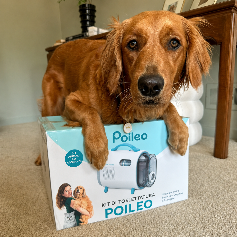 Kit Toelettatura Poileo 7-in-1 13
