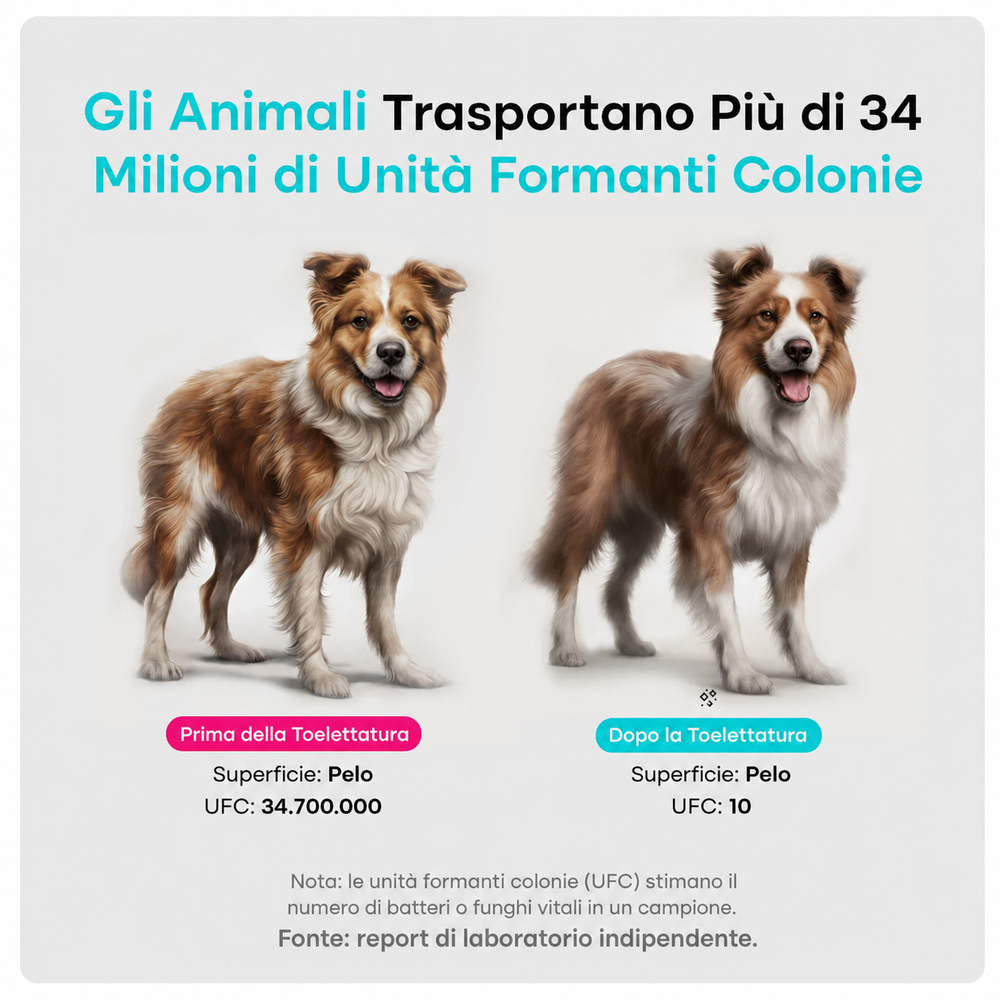 Kit Toelettatura Poileo 7-in-1 10