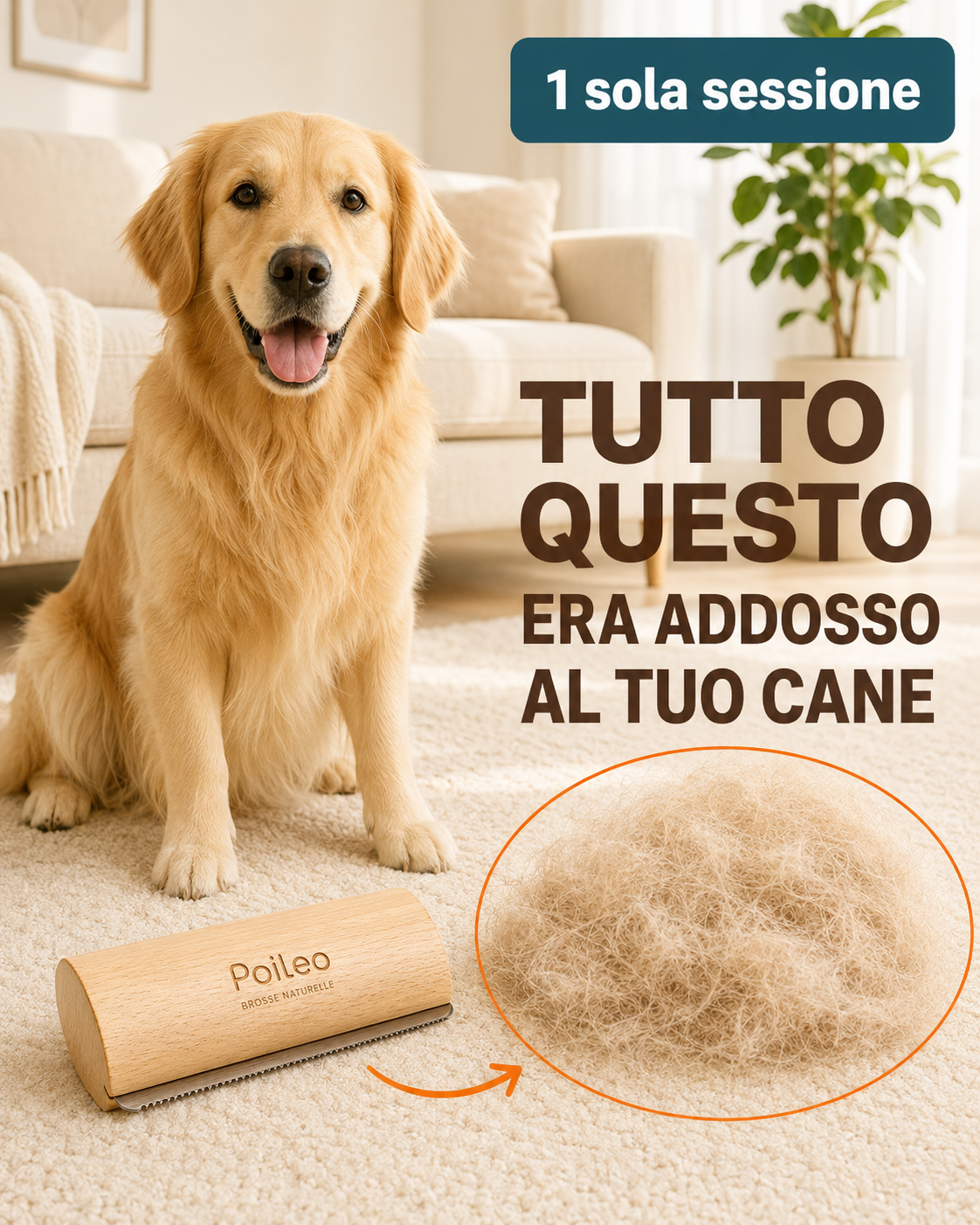 La prima volta che ho spazzolato Leo, non ci credevo